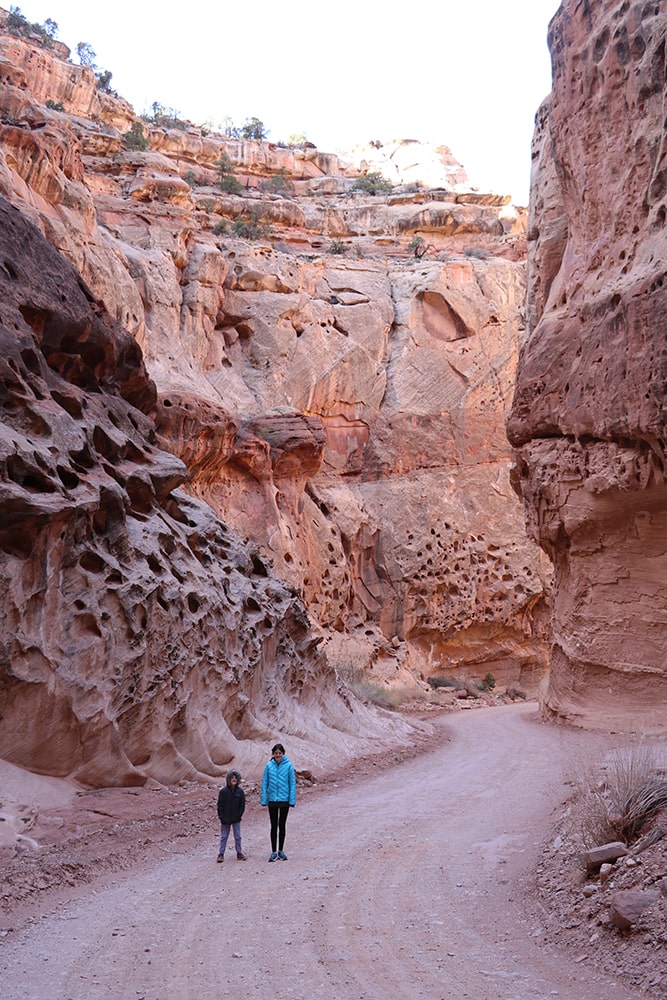 A view of Capitol Reef Scenic Drive. A dirt road with tall canyon walls.