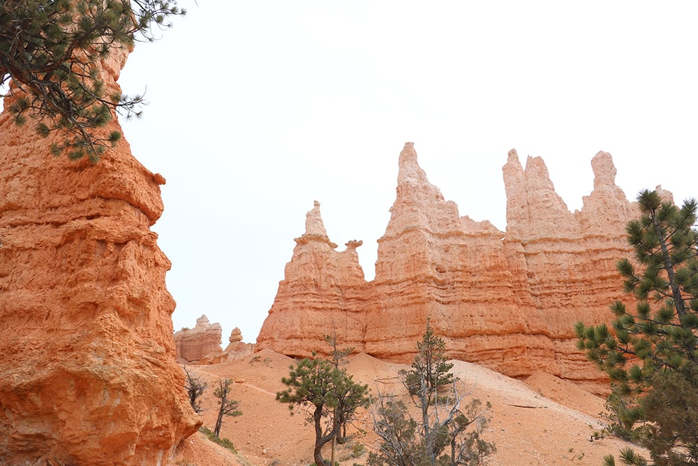 Panoramic view of Bryce Canyon National Park with iconic hoodoos and vibrant rock formations under a clear blue sky, showcasing the breathtaking natural beauty of this renowned destination.