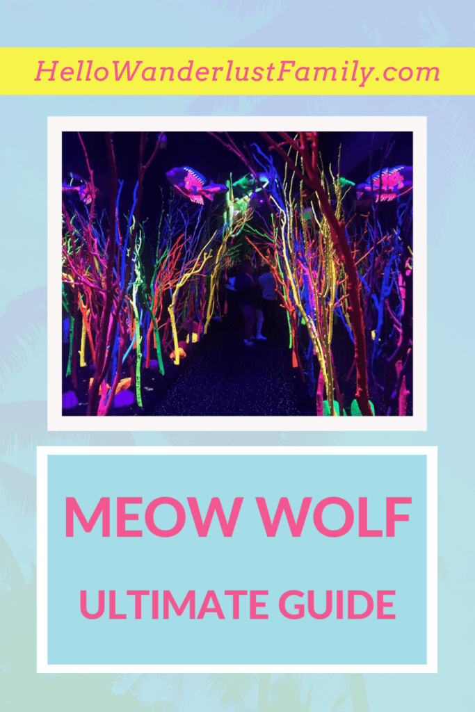 Meow Wolf Santa Fe – Ultimate Guide 2