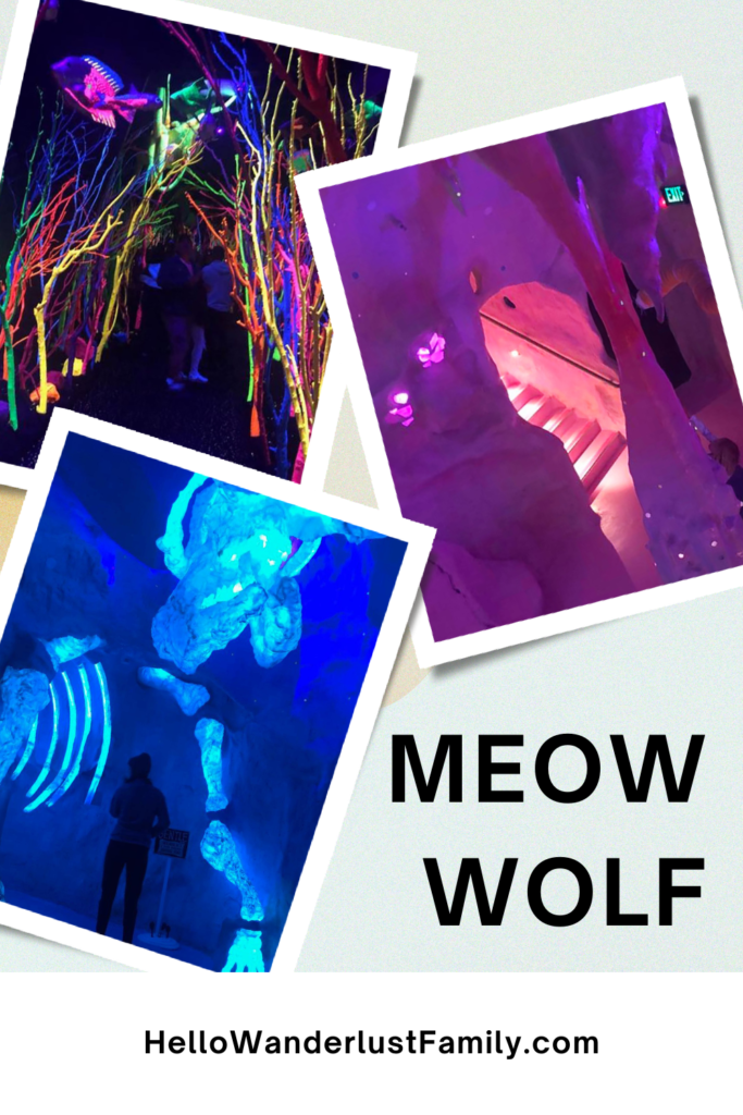 Meow Wolf Santa Fe – Ultimate Guide 3