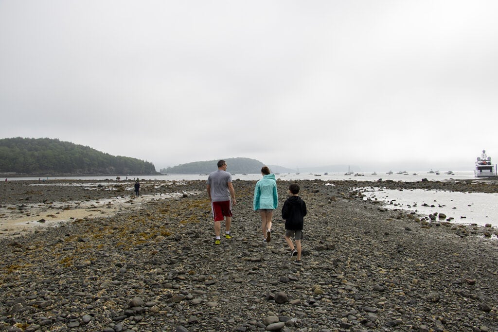 Happy family exploring Bar Island Trail at Acadia National Park during low tide. They are walking along the rocky path, searching for tide pools. A memorable outdoor adventure in one of the best national parks for kids.