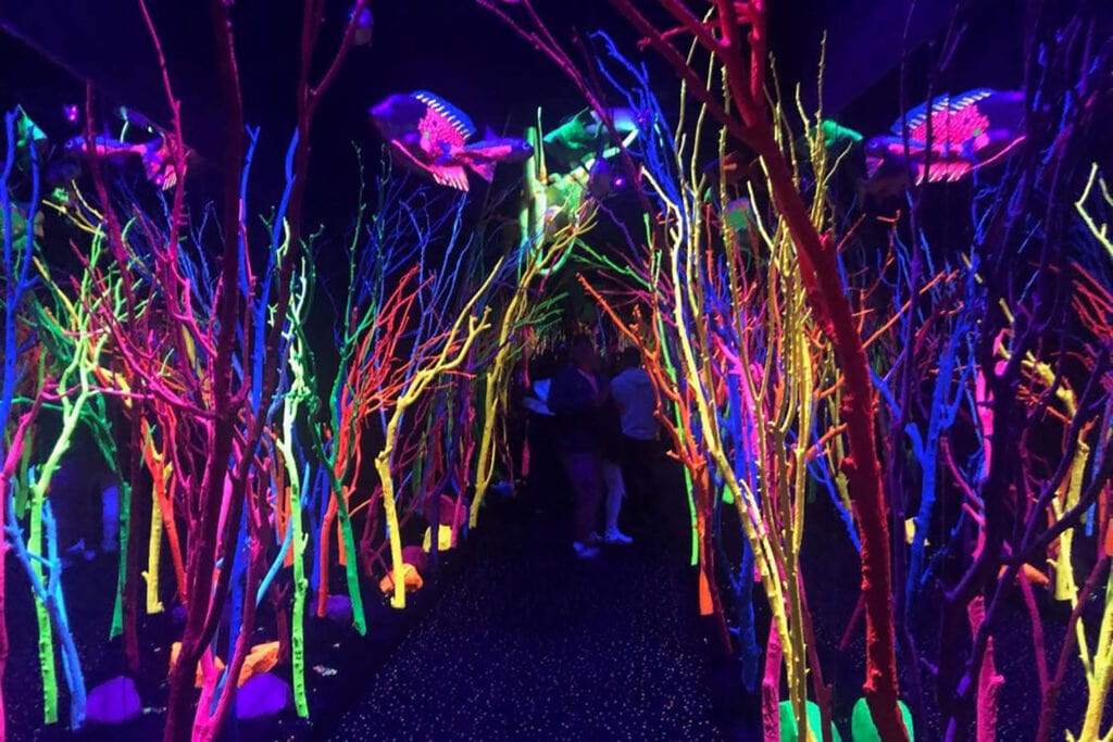 Meow Wolf Santa Fe – Ultimate Guide meow wolf under sea