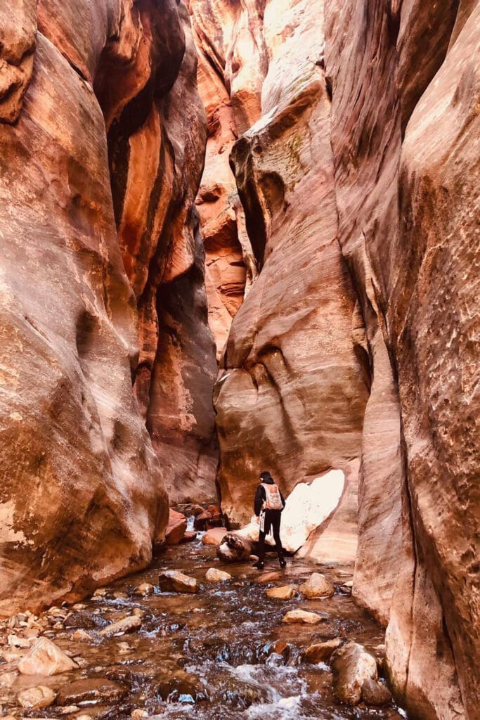 A person walking wearing a hydration backpack is walking through the shallow water in Kanarra Falls slot canyon. The narrow slot canyon has red, towering walls with a stream that winds through it.