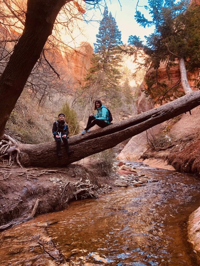 Kanarra Falls: Hike Utah’s Best Slot Canyon kanarra falls stream