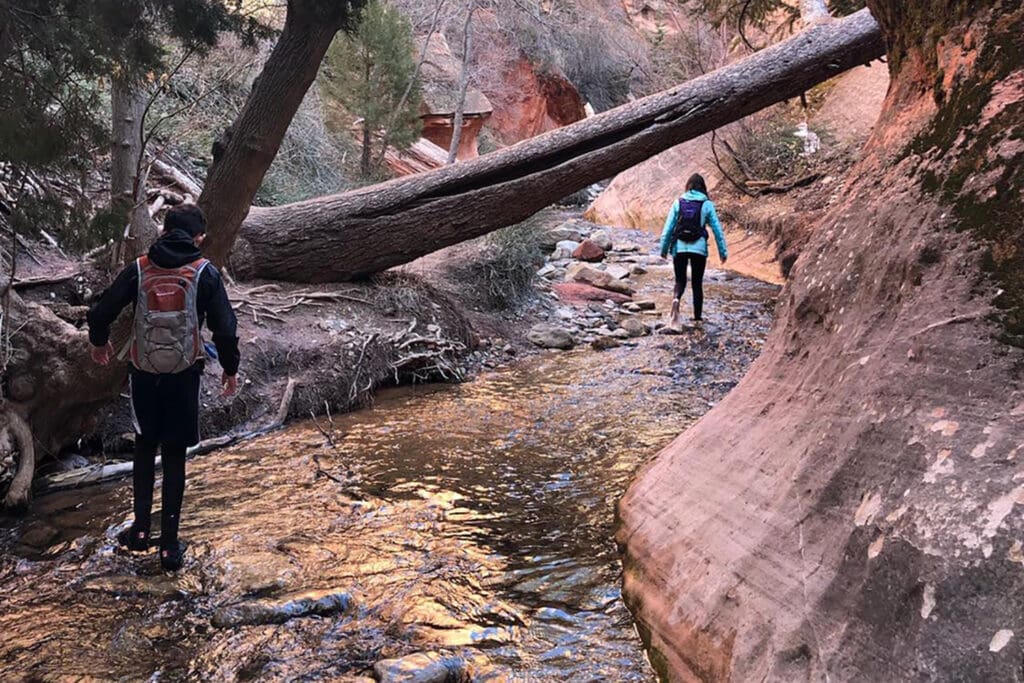 Two people wearing pants, neoprene socks and water shoes are hiking in the cold water before reaching the slot canyon. The water is crystal clear with rocks and boulders sticking out. There are orange and red rocky walls starting to form and evergreen trees on the other side of the freezing stream.
