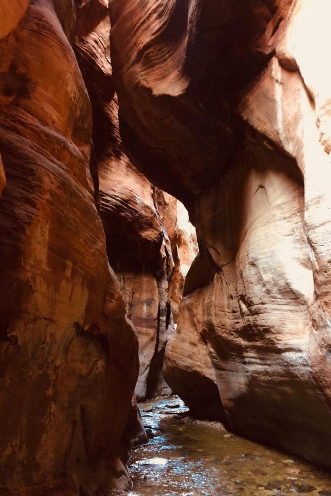 A narrow slot canyon with tall, red rock walls towering over a shallow stream of crystal-clear water. The path winds through the canyon, with small waterfalls and pools along the way. The sunlight filters through the narrow opening above, casting a warm glow on the canyon walls.