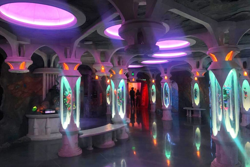 A room full of lit-up glass pillars that feature weird stuff inside the pillars.