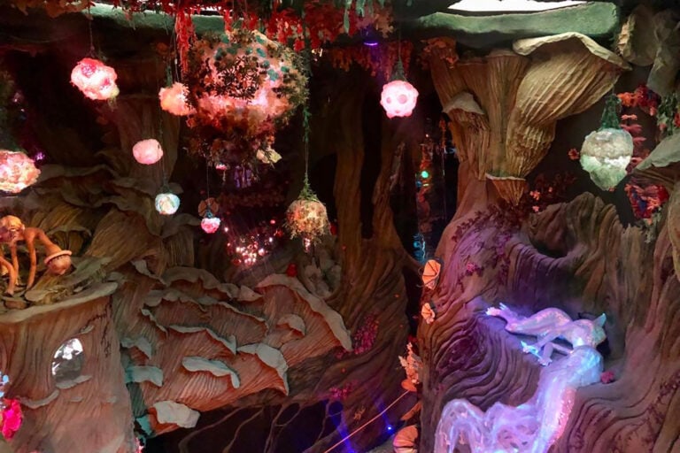 Meow Wolf Denver: The Ultimate Experience Guide for All Ages