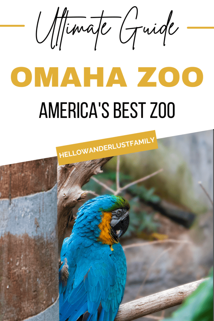Get Wild in Omaha: A Guide to America’s Best Zoo – Omaha Zoo americas best zoo omaha