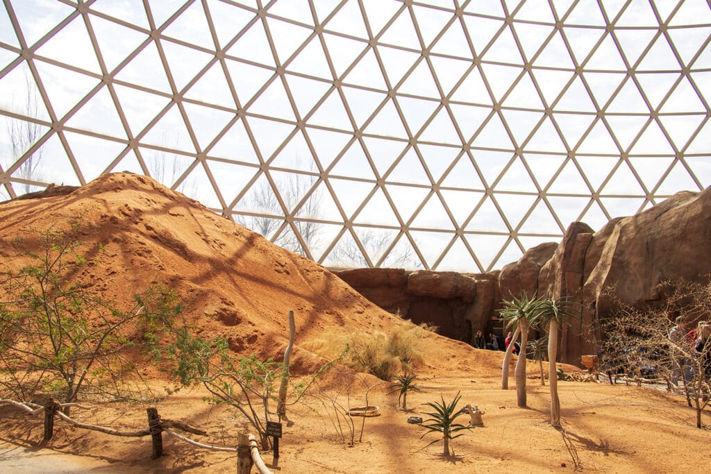 An inside view of the world's largest indoor desert.