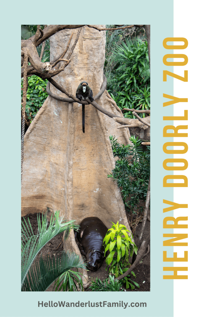 Get Wild in Omaha: A Guide to America’s Best Zoo – Omaha Zoo henry doorly zoo pinterest