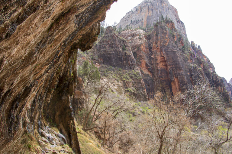 Zion National Park – Fees, Passes & How To Get In Free
