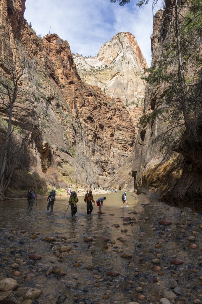 Hikers walking along the flowing river on Zion Narrows Riverside Trail. One of zion national park's easy hikes 
