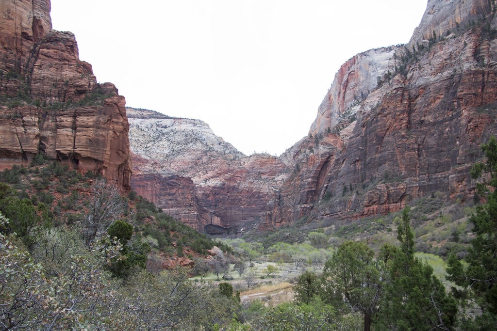 Parking at Zion National Park - Lust green vegetation with towering red cliffs