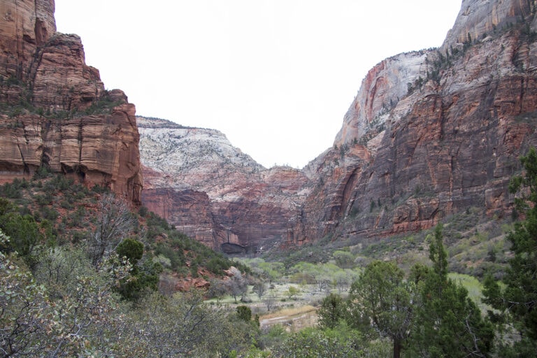 Zion National Park Shuttle & Parking 101 – Ultimate Guide