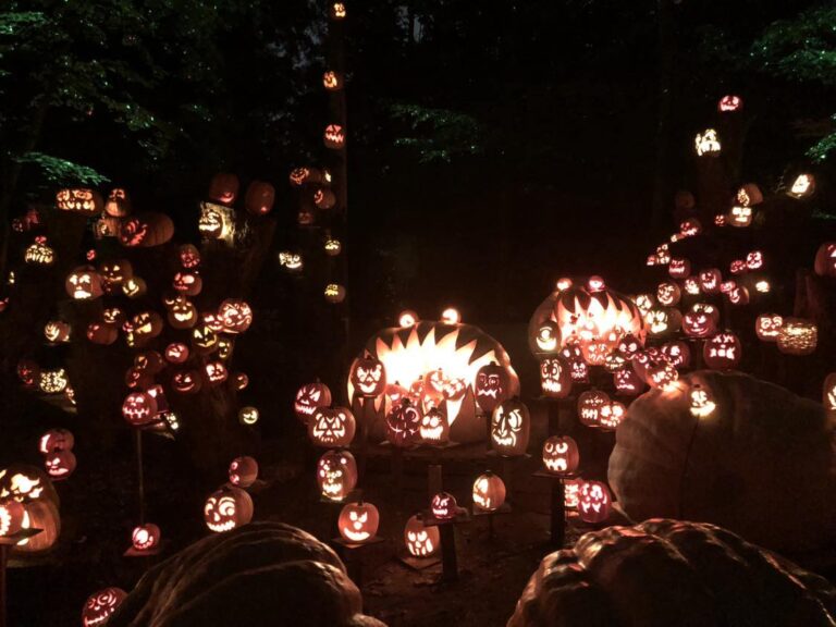Hundreds of intricately carved pumpkins lit through the woods at the Louisville Jack O' Lantern Spetacular.