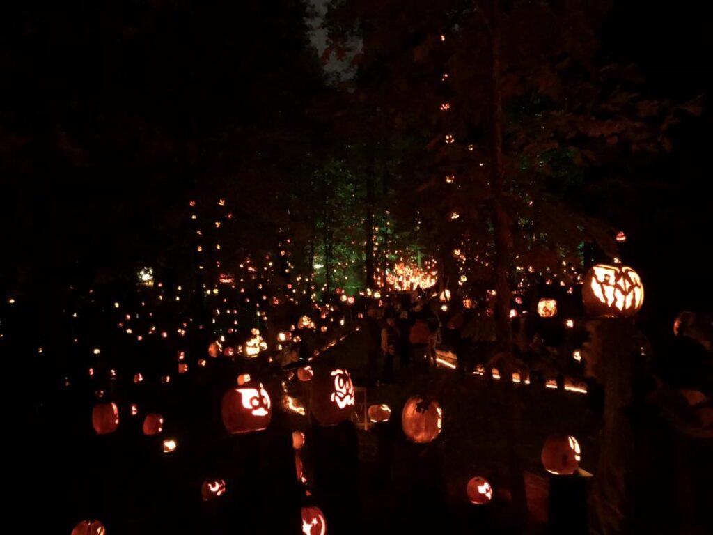 Enchanted pumpkin trail in Louisville, KY. 