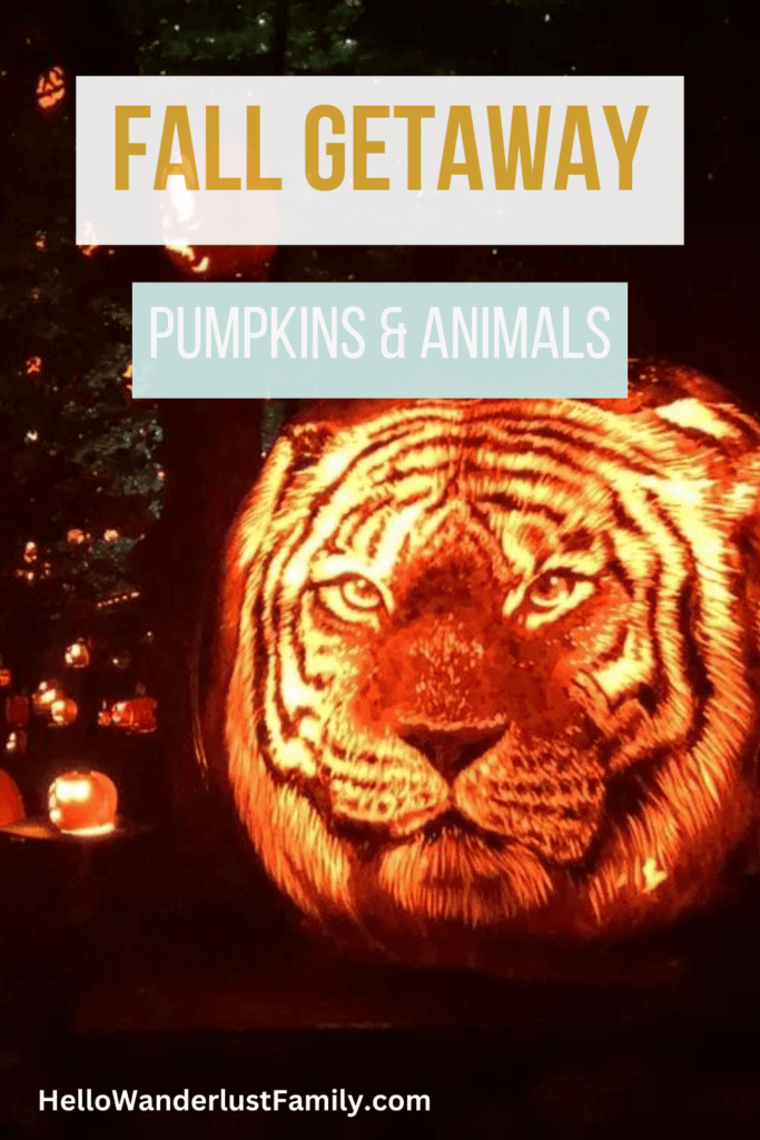 A Spectacular Fall Getaway | Elephants + Pumpkins fall getaway cheap
