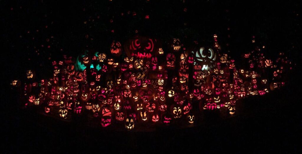 Tons of funny face Jack O' Lanterns carefully piled in a group along the pumpkin trail.