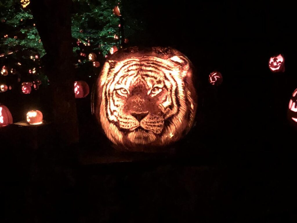 Your Guide to The Louisville Jack O’ Lantern Spectacular things to do kentucky