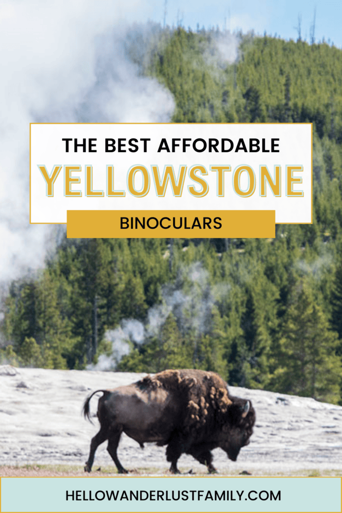 Best Affordable Binoculars for Yellowstone National Park Affordable Binoculars Yellowstone Pins.jpg