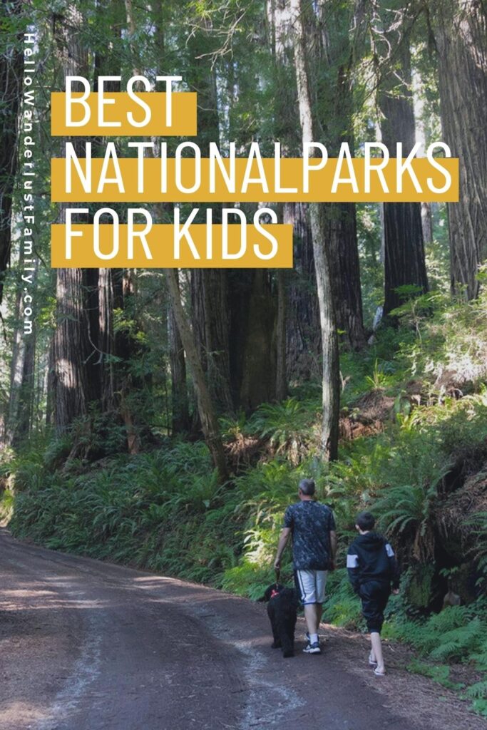 Discover the Funnest National Parks for Kids Family Adventures National Parks