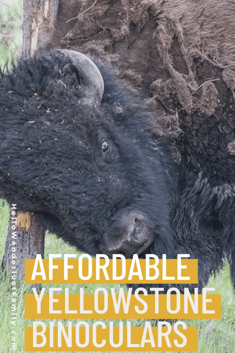 Best Affordable Binoculars for Yellowstone National Park