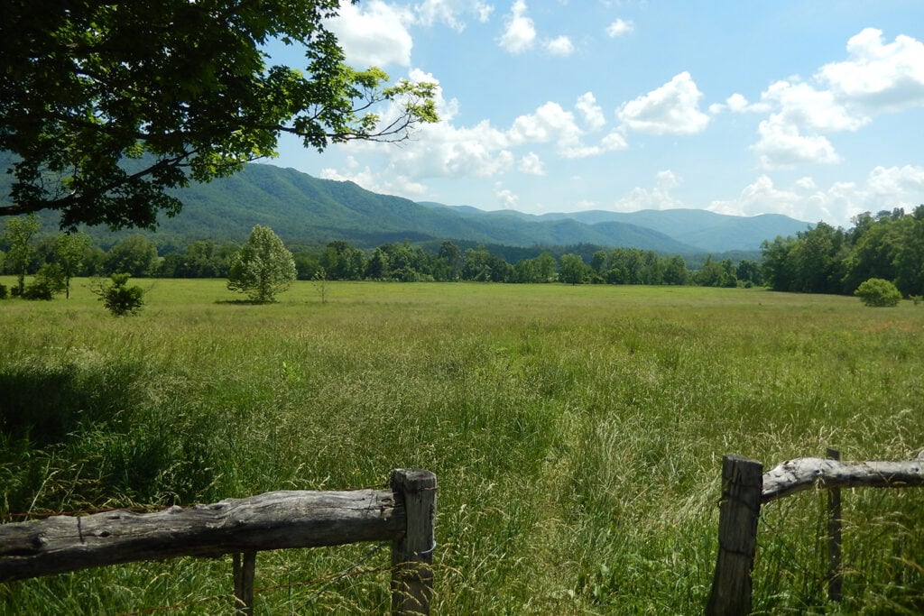 Scenic view of Cades Cove in Great Smoky Mountains National Park. The image captures a wooden fence leading towards tall grass with majestic mountains in the background. The serene landscape showcases the park's natural beauty, tranquility, and rich biodiversity.