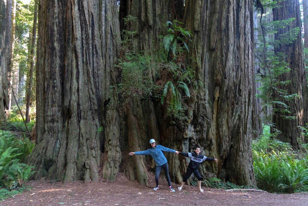 Two kids standing in front of a massive redwood tree in Redwood National Park. They stretch their arms wide, trying to match the impressive width of the tree trunk. The image captures the awe-inspiring size of the redwood trees, showcasing the park's natural wonders and the sense of wonder it evokes in visitors.