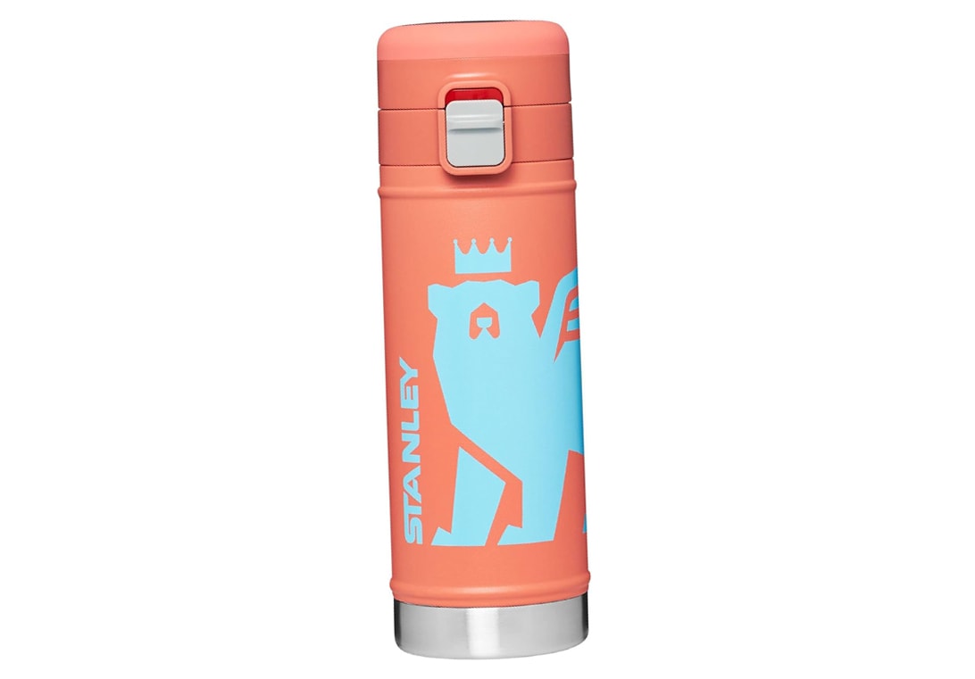 Perfect Camping Stocking Stuffer Ideas for Your Crew stanly kids water bottle