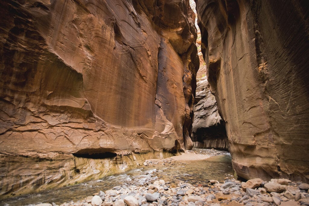 Image of the Zion Narrows at low water level, revealing the rocky riverbed and towering canyon walls. The narrow passage showcases the unique geological formations of Zion National Park, creating a striking visual contrast between the rocky terrain and steep cliffs.