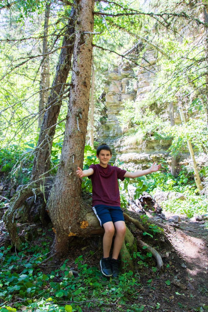Kid resting on tree roots shaped perfectly like a chair during the hike to devil's bathtub in south dakota.