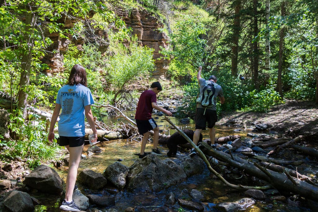 Family and dog crossing the creek at Devil's Bathtub trail, carefully balancing on large rocks, creating a memorable and adventurous water crossing experience in Spearfish Canyon, South Dakota.