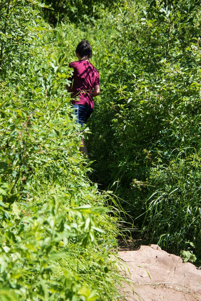 Child exploring Devil's Bathtub trail, navigating the narrow path amidst lush greenery, tall grass, and vibrant plant life in Spearfish Canyon, South Dakota.