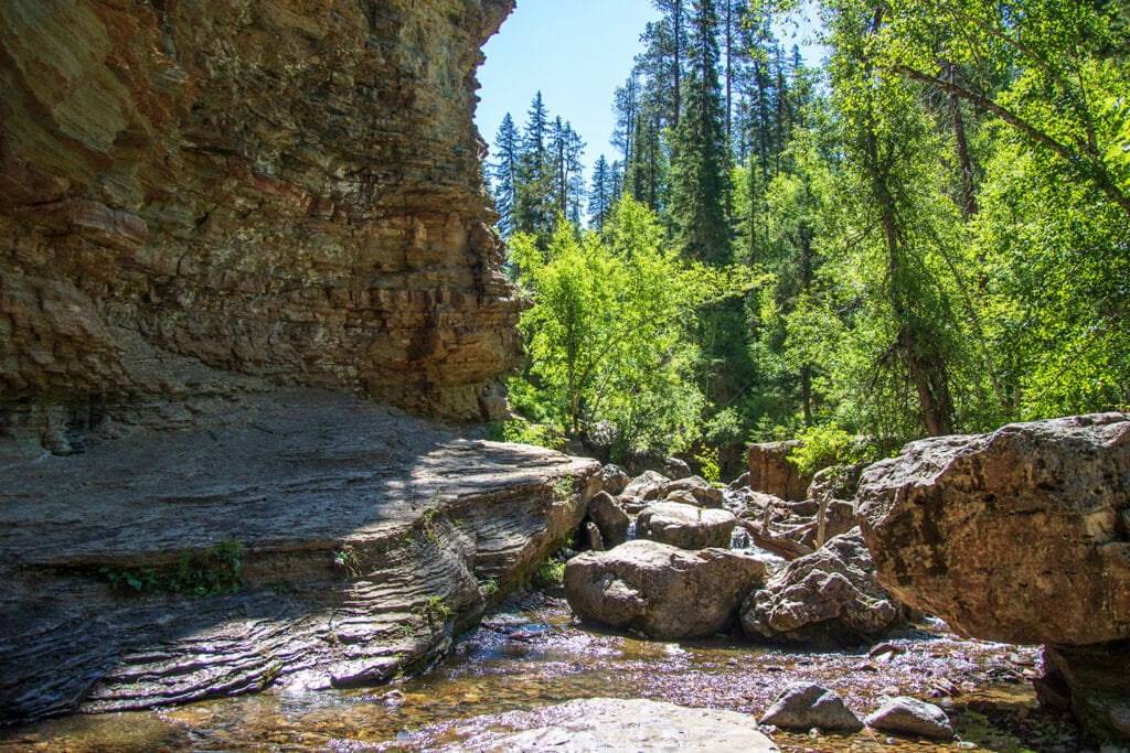 Image featuring large rocks along the Devil's Bathtub trail in Spearfish Canyon. These natural obstacles provide a unique hiking experience, requiring climbers to navigate and overcome the rocky terrain.