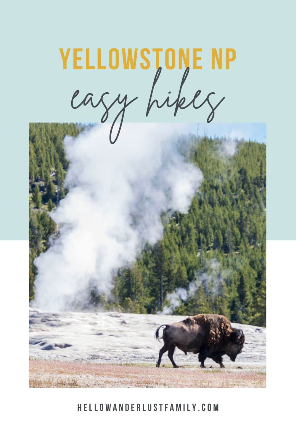 20 Easy Hikes In Yellowstone National Park You Don’t Want to Miss