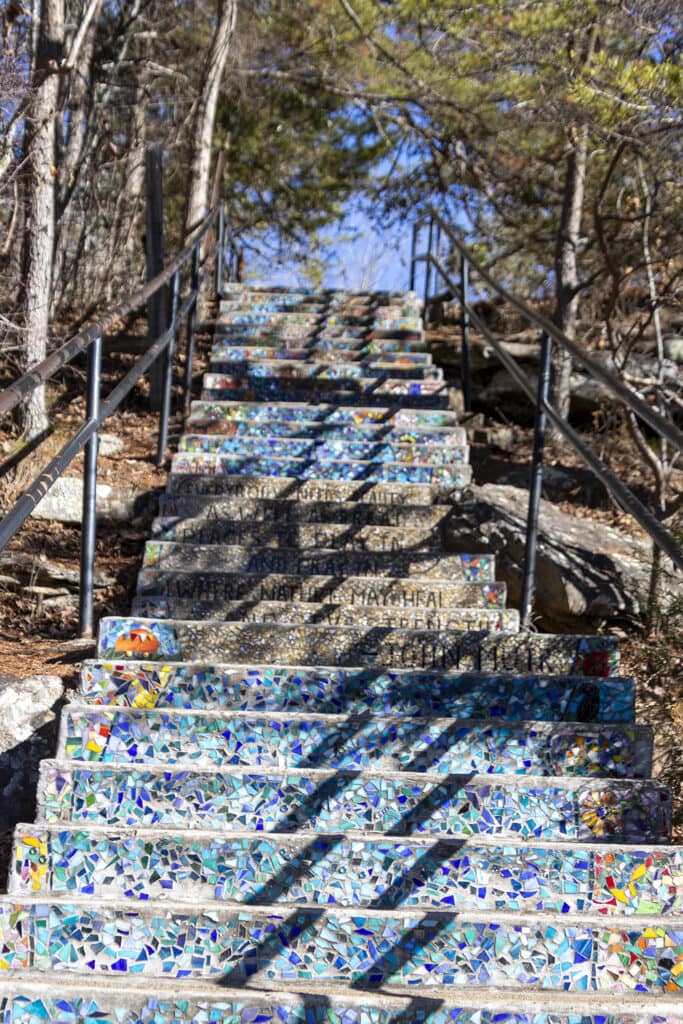 Hiking Desoto Falls? Here’s What You Need to Know desoto falls stairs