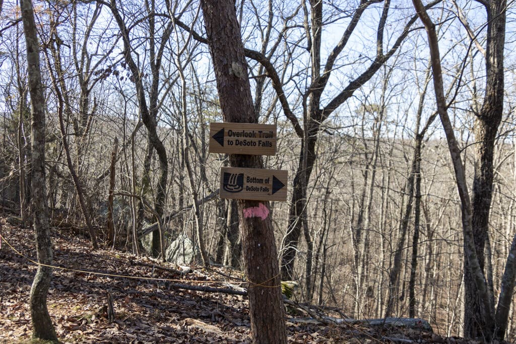 Wooden trail marker signs nailed to the trees marking your way through the forest to the base of desoto falls.